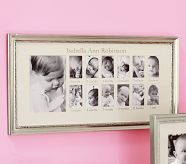 Silver Leaf First Year Frame