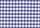 navy gingham
