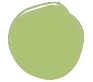 Benjamin Moore® Natura® Paint, Stem Green 2029-40, Eggshell, 1 Gallon