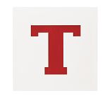 18x18  Novelty Mat Letter, White, T
