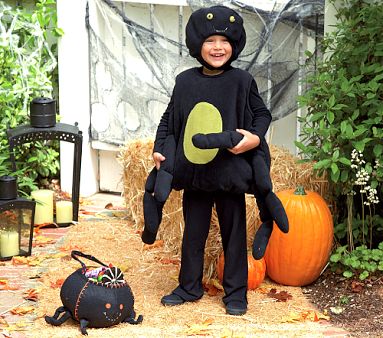 Puffy Spider Costume, 0-6 Months