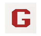 18x18  Novelty Mat Letter, White, G