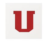 18x18  Novelty Mat Letter, White, U