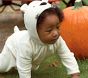 Baby Polar Bear Costume, 0-6 Months