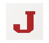 18x18  Novelty Mat Letter, White, J