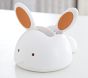 Skip Hop Hare Grooming Set