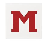 18x18  Novelty Mat Letter, White, M