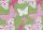 green butterfly
