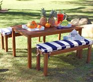 Set of Picnic Table and 2 Benches