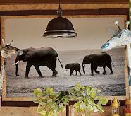 Safari Wall Mural Canvas