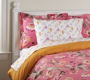 Emmy Small Sham