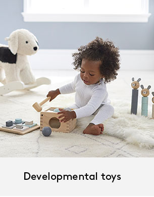 Developmental Toys