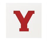 18x18  Novelty Mat Letter, White, Y