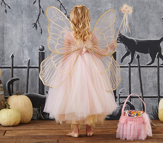 Pottery Barn Fairy Costume