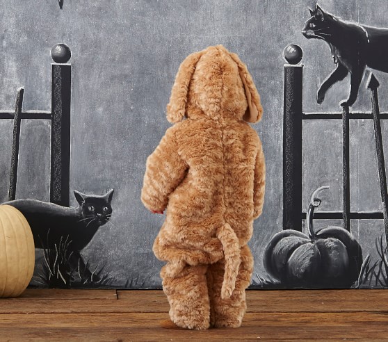 Pottery Barn Dog Costume