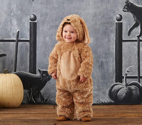 Pottery Barn Dog Costume
