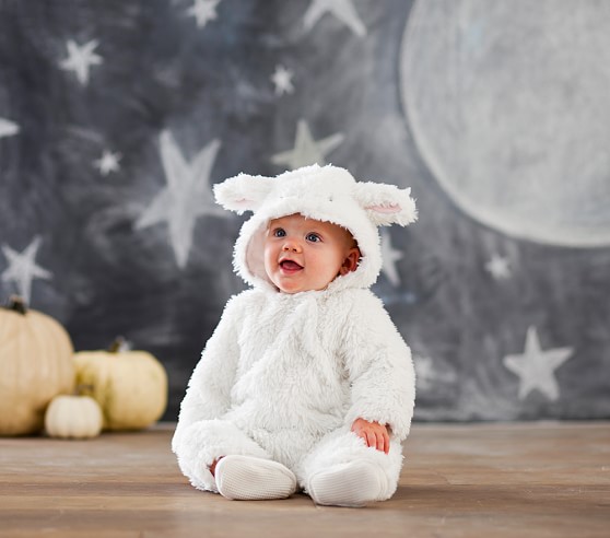 Pottery Barn Baby Costumes