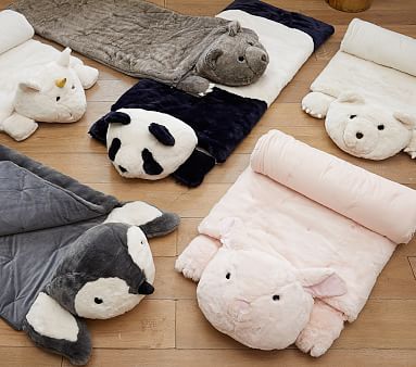 Pottery Barn Sleeping Bagsnull