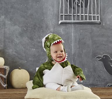 Baby Dinosaur Egg Costume | Pottery Barn Kids