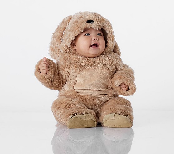 Pottery Barn Dog Costume